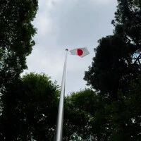 画像294