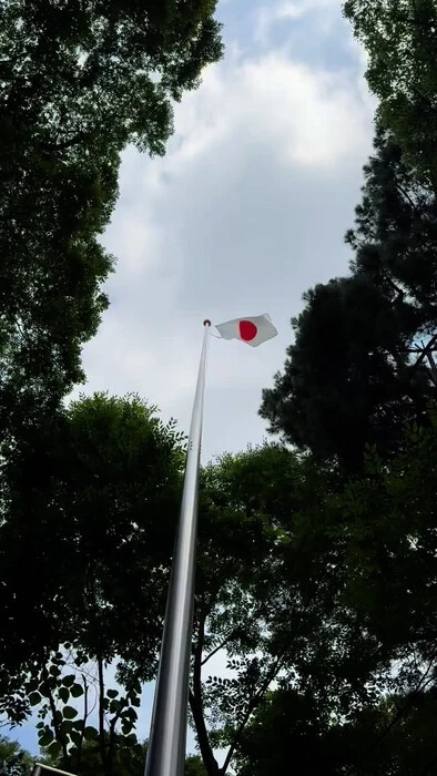 画像294